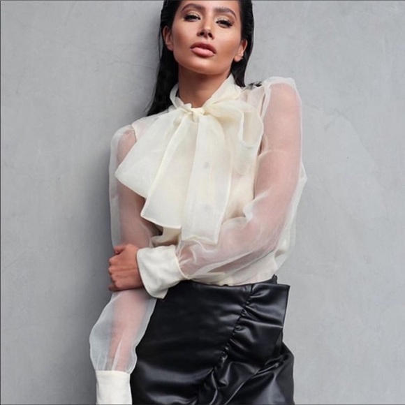 NWT Zara Organza Blouse - Picture 2 of 10